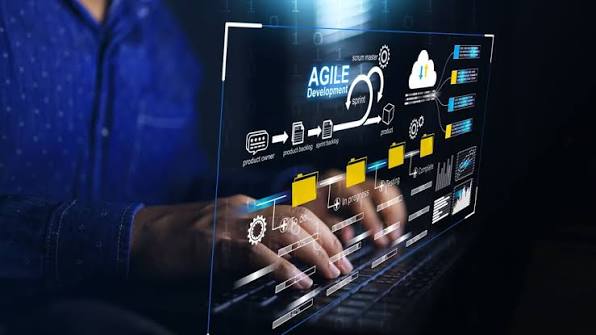IT & Software Development